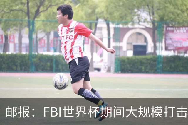 邮报：FBI世界杯期间大规模打击无人机活动，一名非法移民被捕